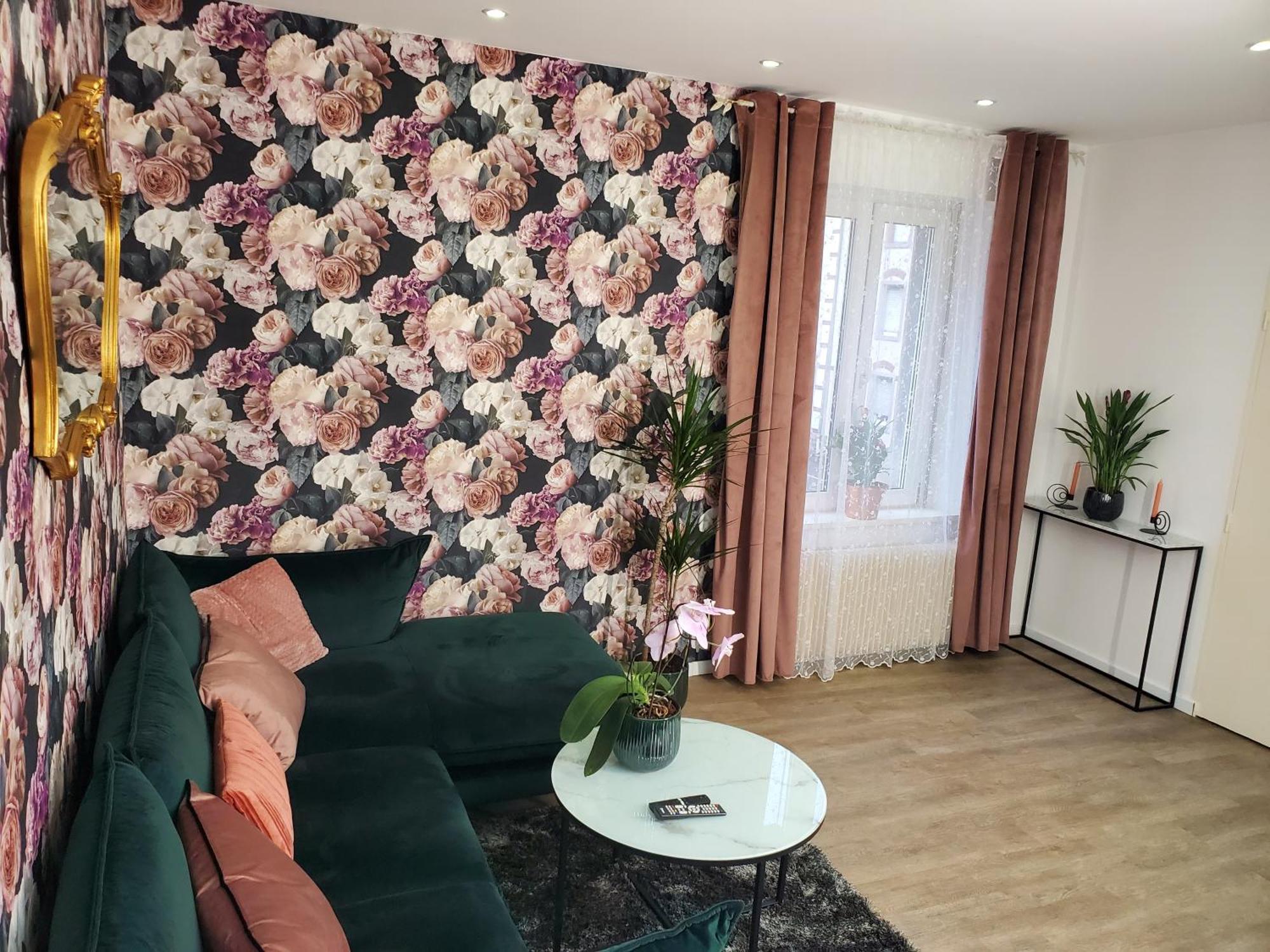 Mirka & Franck Apartment Chic 4 Stars Parking Free Colmar Exterior foto