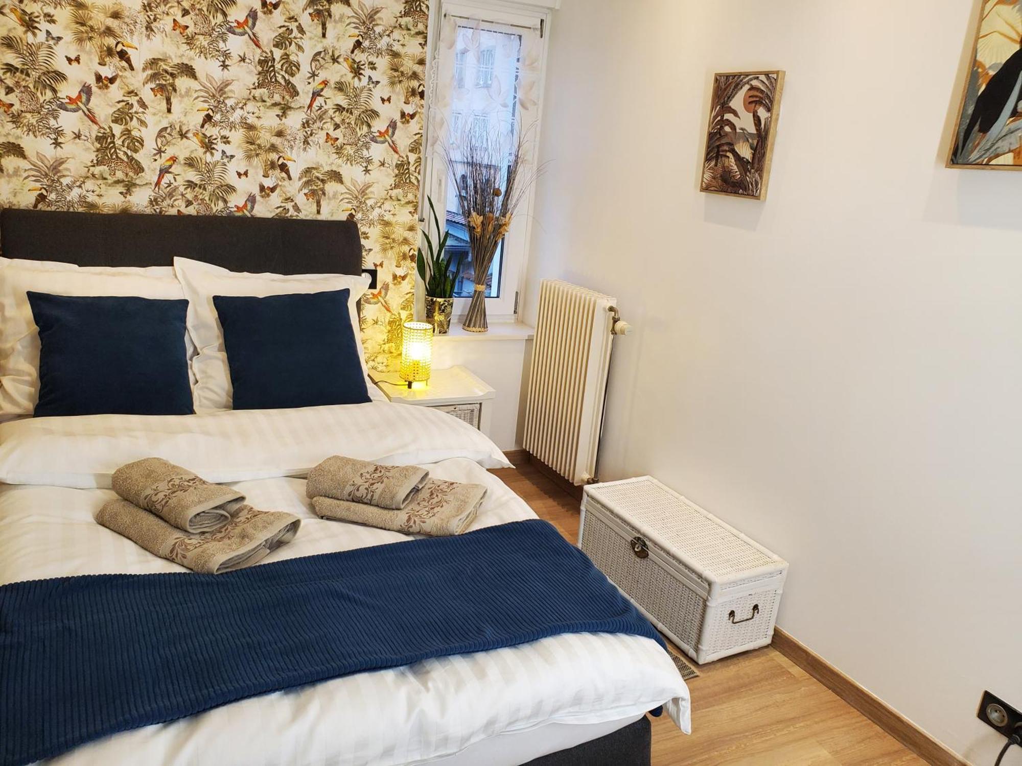 Mirka & Franck Apartment Chic 4 Stars Parking Free Colmar Exterior foto